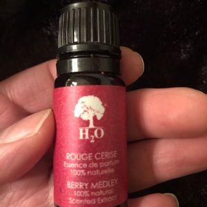 H2o At Home Essential Oil Or Wax Warmer Euc